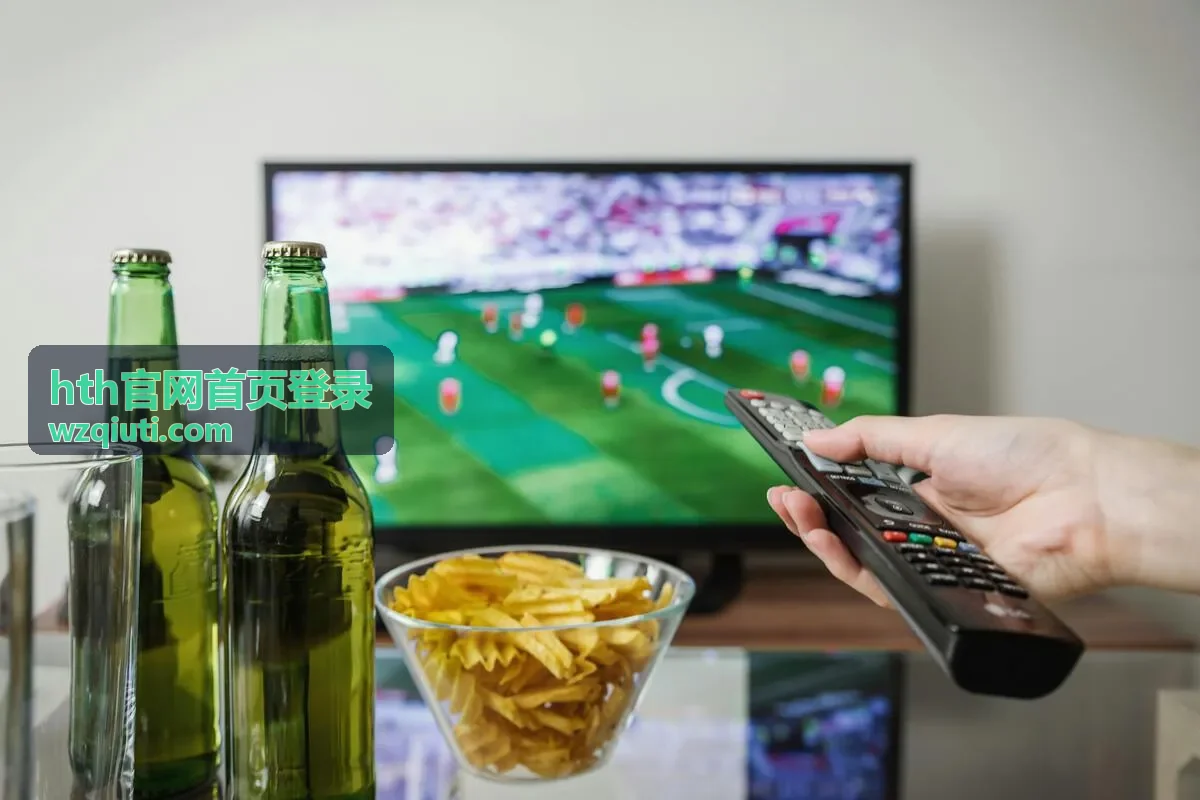 hth官网首页登录资料下载推荐封面图