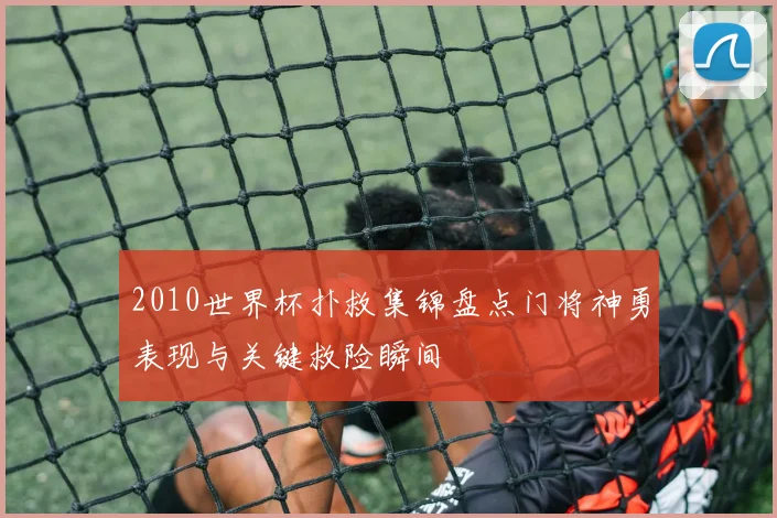2010世界杯扑救集锦盘点门将神勇表现与关键救险瞬间