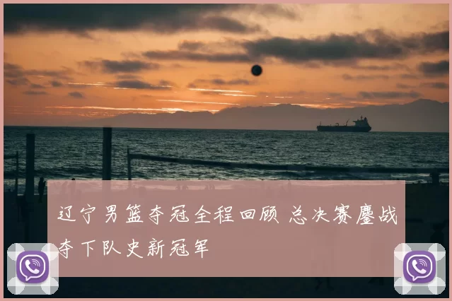 辽宁男篮夺冠全程回顾 总决赛鏖战夺下队史新冠军